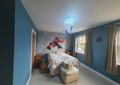 stefan decorating facebook gallery 196