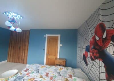 stefan decorating facebook gallery 197(1)