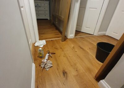 stefan decorating facebook gallery 284