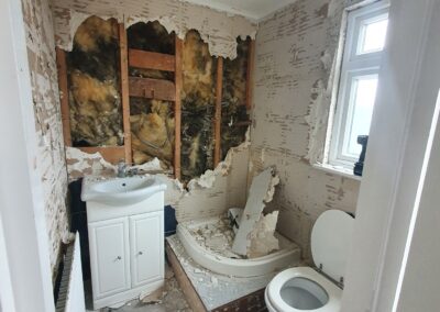 stefan decorating facebook gallery 290(2)