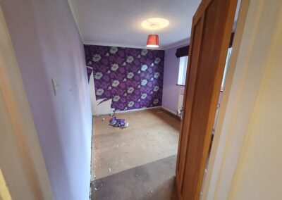 stefan decorating facebook gallery 305