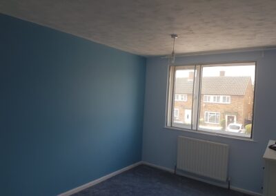 stefan decorating facebook gallery 457(1)