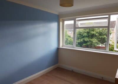 stefan decorating facebook gallery 495