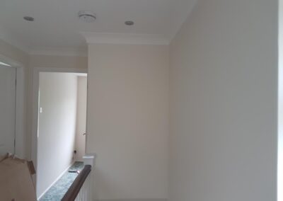 stefan decorating facebook gallery 534